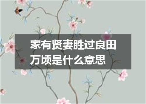 家有贤妻胜过良田万顷是什么意思