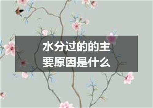 水分过的的主要原因是什么
