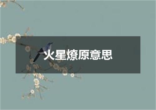 火星燎原意思