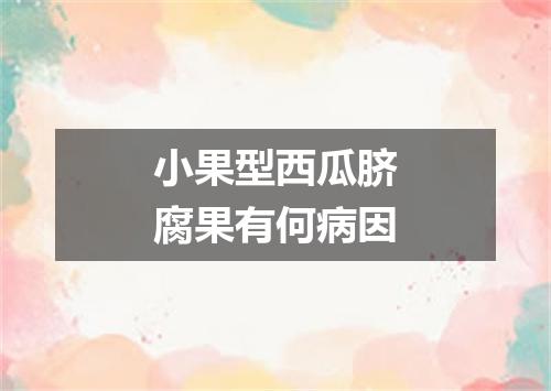 小果型西瓜脐腐果有何病因