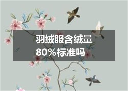 羽绒服含绒量80％标准吗