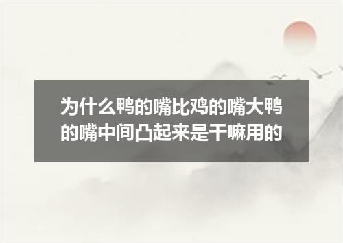 为什么鸭的嘴比鸡的嘴大鸭的嘴中间凸起来是干嘛用的