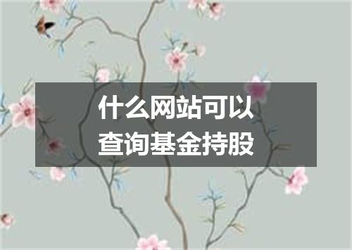 什么网站可以查询基金持股
