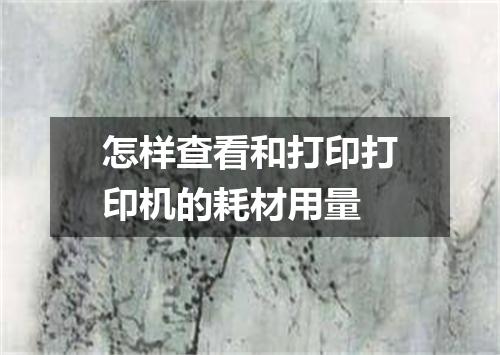 怎样查看和打印打印机的耗材用量