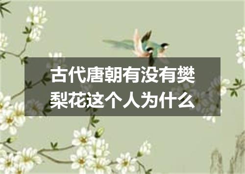 古代唐朝有没有樊梨花这个人为什么