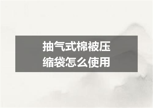 抽气式棉被压缩袋怎么使用