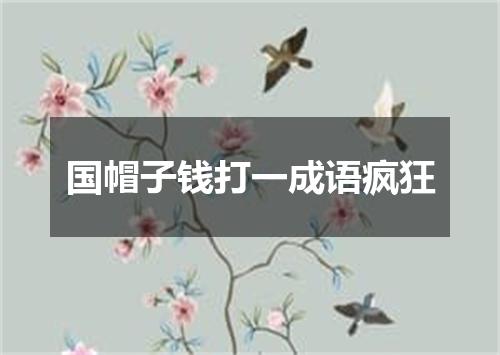 国帽子钱打一成语疯狂