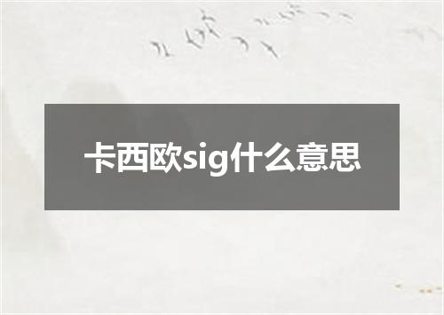 卡西欧sig什么意思