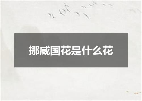 挪威国花是什么花