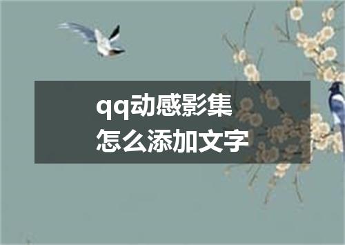 qq动感影集怎么添加文字