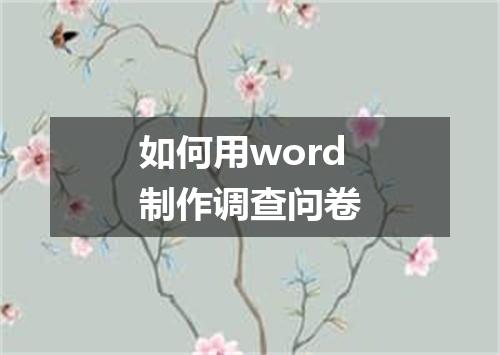 如何用word制作调查问卷