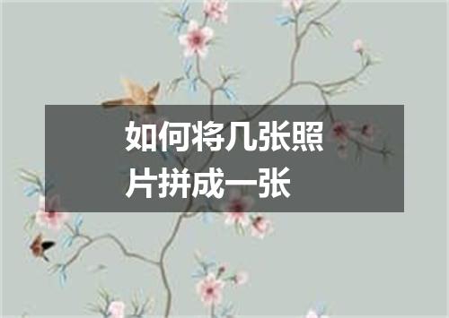 如何将几张照片拼成一张