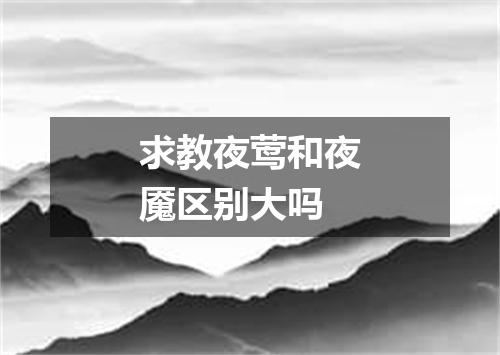 求教夜莺和夜魇区别大吗