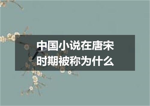 中国小说在唐宋时期被称为什么