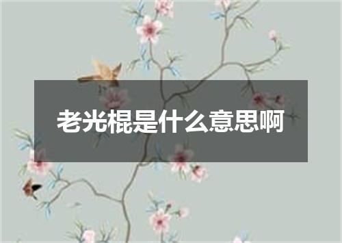 老光棍是什么意思啊