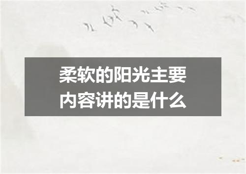 柔软的阳光主要内容讲的是什么