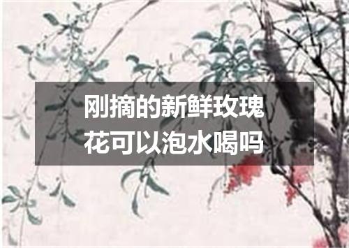 刚摘的新鲜玫瑰花可以泡水喝吗