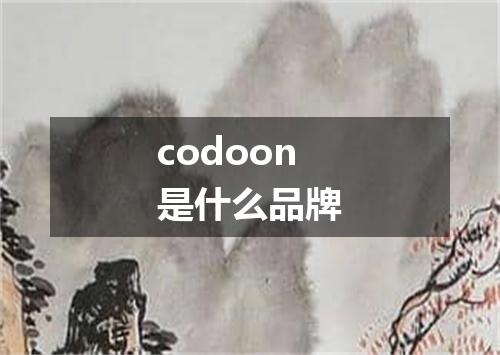 codoon是什么品牌