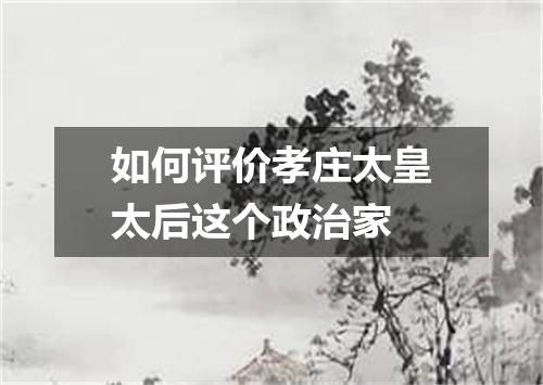 如何评价孝庄太皇太后这个政治家