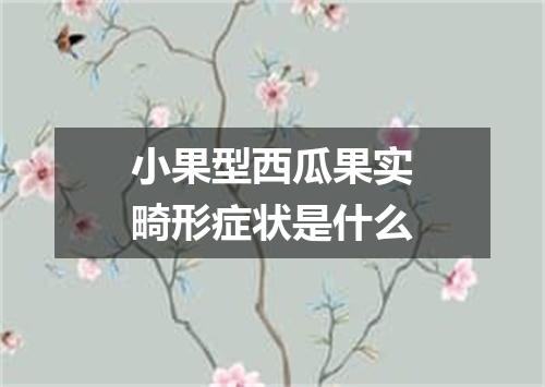 小果型西瓜果实畸形症状是什么