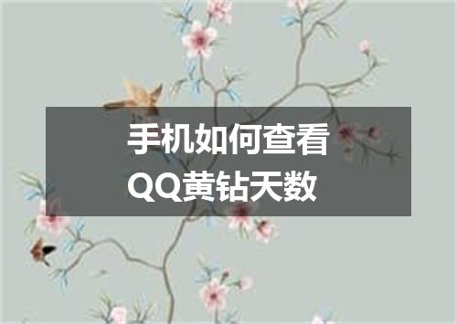 手机如何查看QQ黄钻天数