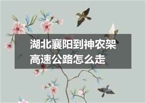 湖北襄阳到神农架高速公路怎么走