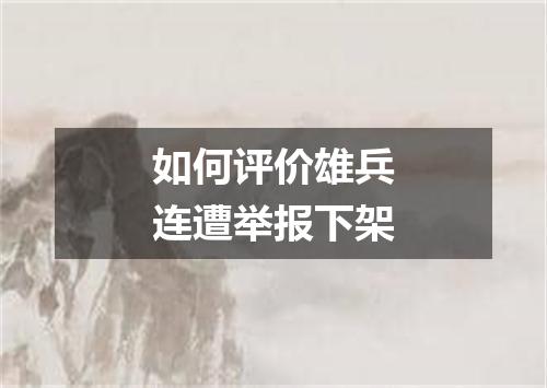 如何评价雄兵连遭举报下架