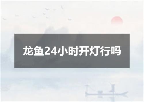 龙鱼24小时开灯行吗