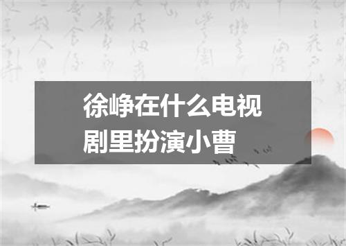 徐峥在什么电视剧里扮演小曹