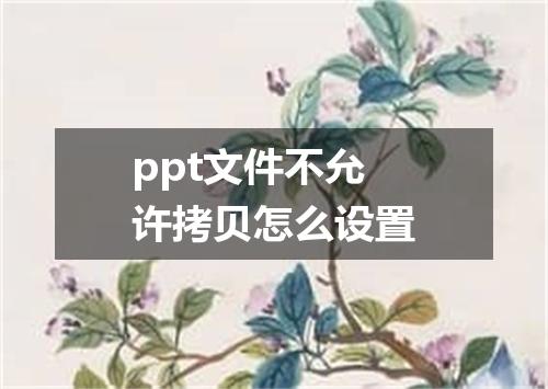 ppt文件不允许拷贝怎么设置