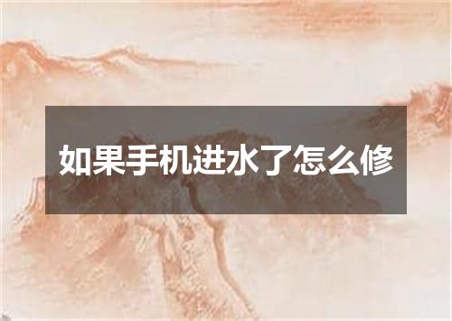 如果手机进水了怎么修