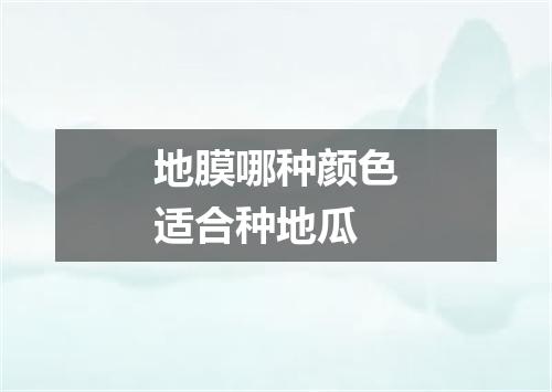 地膜哪种颜色适合种地瓜
