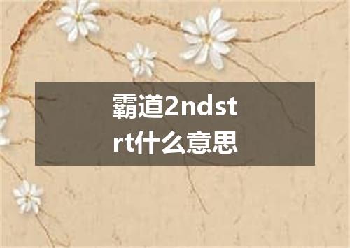 霸道2ndstrt什么意思