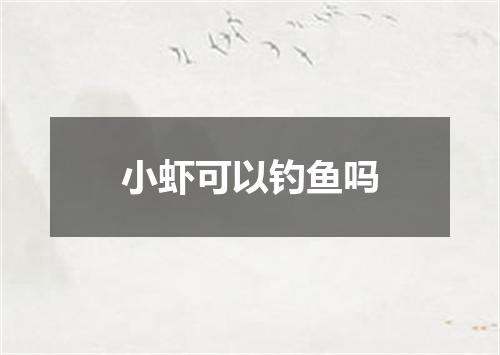 小虾可以钓鱼吗