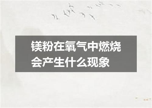 镁粉在氧气中燃烧会产生什么现象