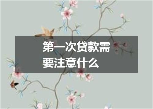 第一次贷款需要注意什么