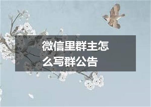 微信里群主怎么写群公告