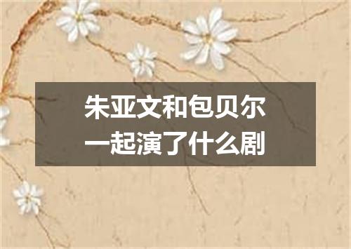 朱亚文和包贝尔一起演了什么剧