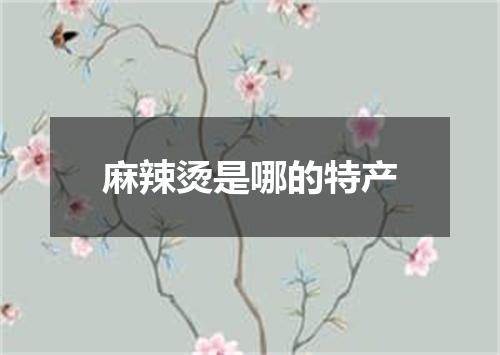 麻辣烫是哪的特产