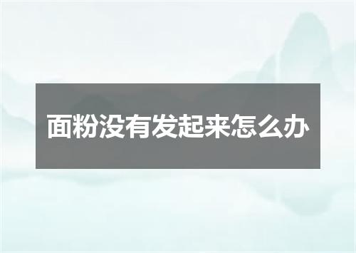 面粉没有发起来怎么办