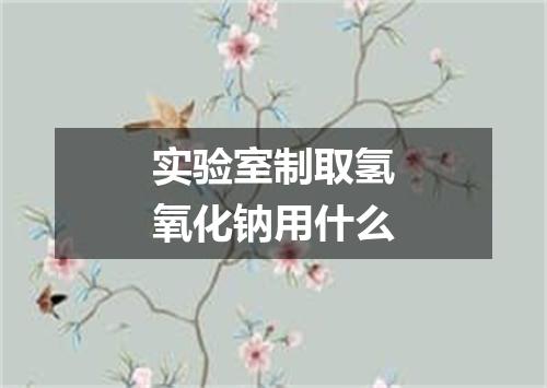 实验室制取氢氧化钠用什么