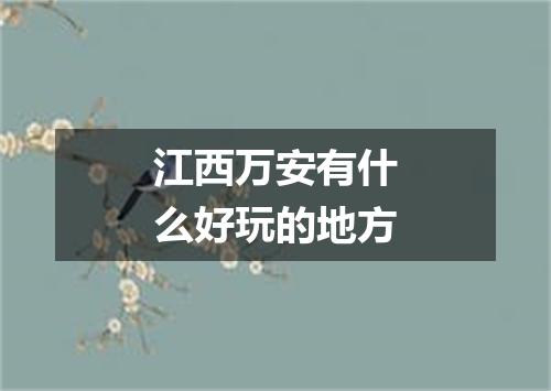 江西万安有什么好玩的地方