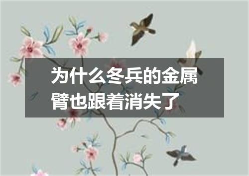 为什么冬兵的金属臂也跟着消失了