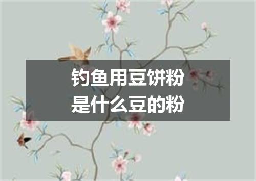 钓鱼用豆饼粉是什么豆的粉