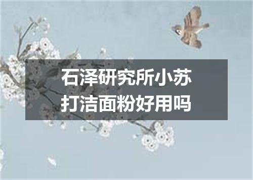石泽研究所小苏打洁面粉好用吗