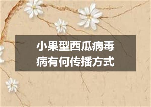 小果型西瓜病毒病有何传播方式