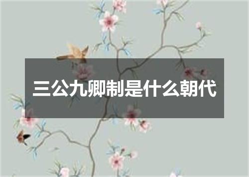 三公九卿制是什么朝代