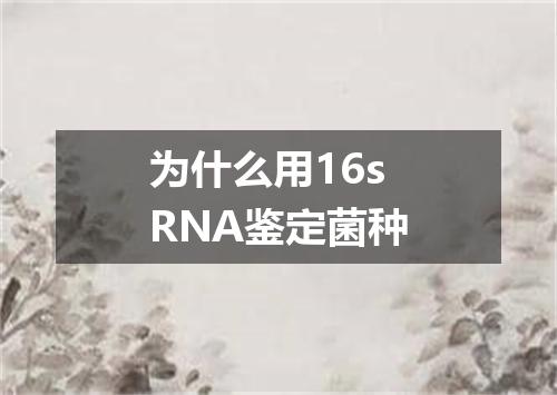 为什么用16sRNA鉴定菌种