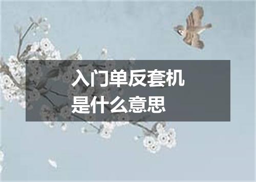 入门单反套机是什么意思