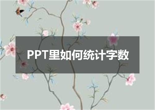 PPT里如何统计字数